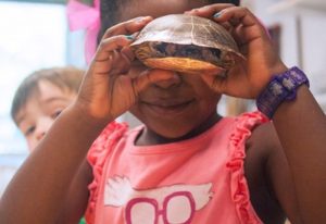 A young girl holding a turtle up to her eyes and peeking in to see the turtle up close.