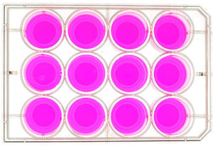 12-well laboratory plate