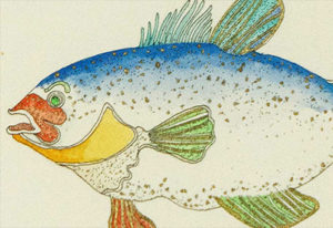 lithograph of a fish with bright colors on fins and face